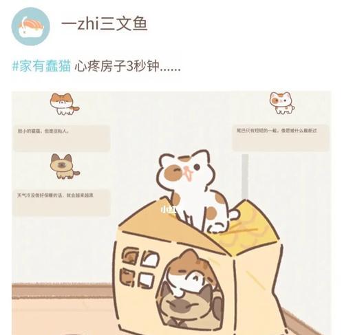 《遇见你的猫喵圈攻略》（如何触发喵圈）